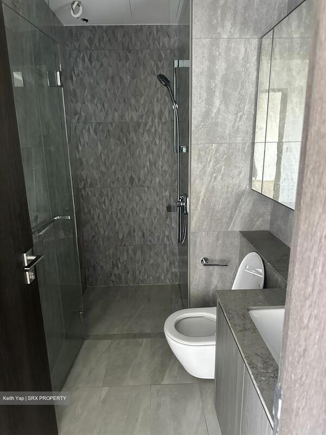 Piccadilly Grand (D8), Apartment #497632321